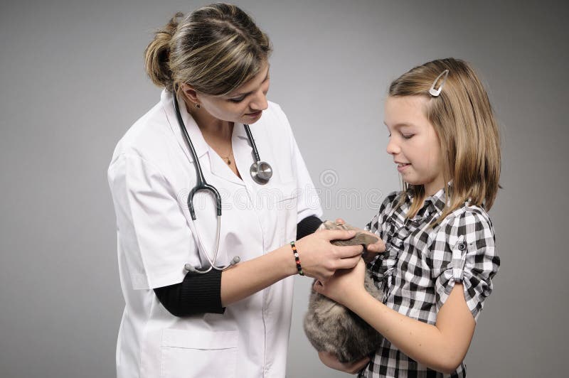 Veterinary doctor working with pet