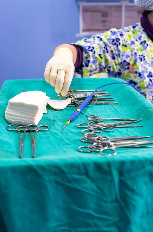 Veterinary Surgeon with Surgery Material Stock Image Image of