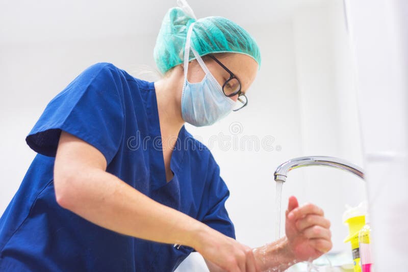 Veterinary surgeon washing hands before operating stock image Veterinary surgeon washing hands before operating stock image