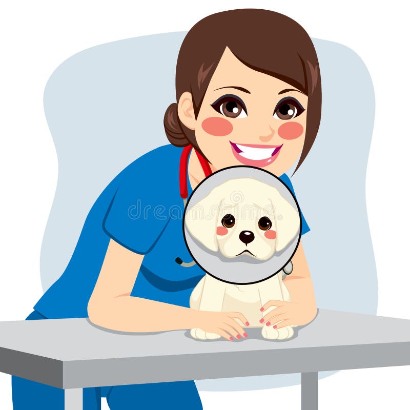 Veterinário Dog Collar ilustração do vetor Veterinário Dog Collar ilustração do vetor