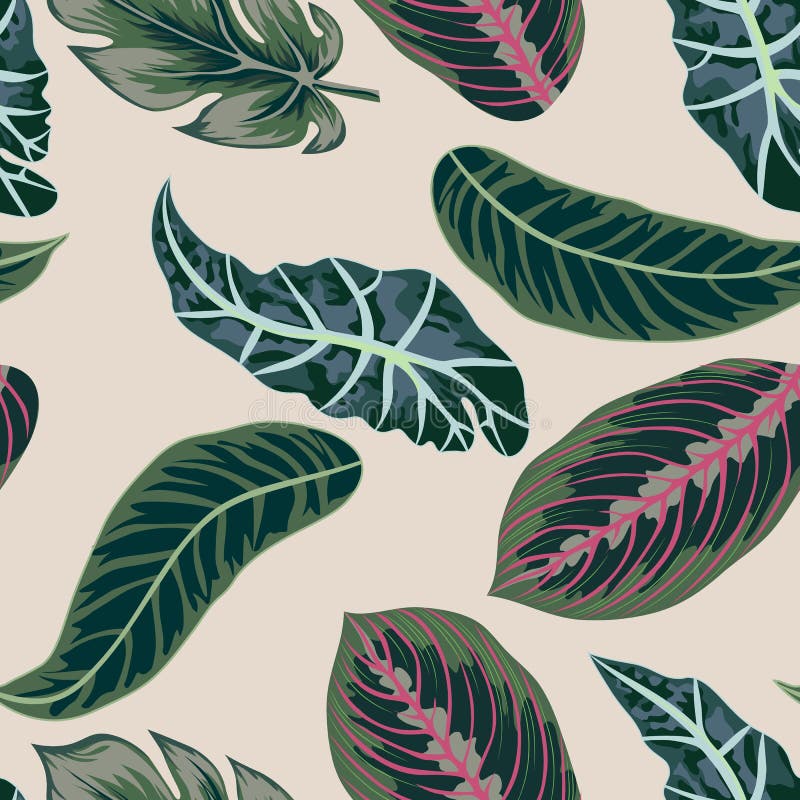 Vetor As folhas tropicais, selva saem vetor sem emenda do fundo floral do teste padrão ilustração do vetor Vetor As folhas tropicais, selva saem vetor sem emenda do fundo floral do teste padrão ilustração do vetor