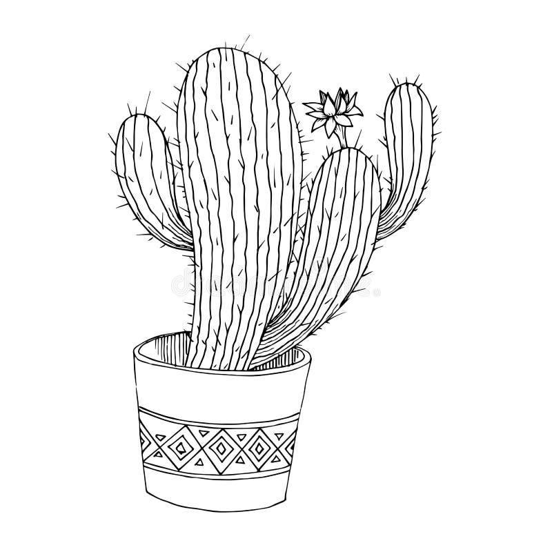 Um desenho preto e branco de um cacto com um vaso de plantas nele.