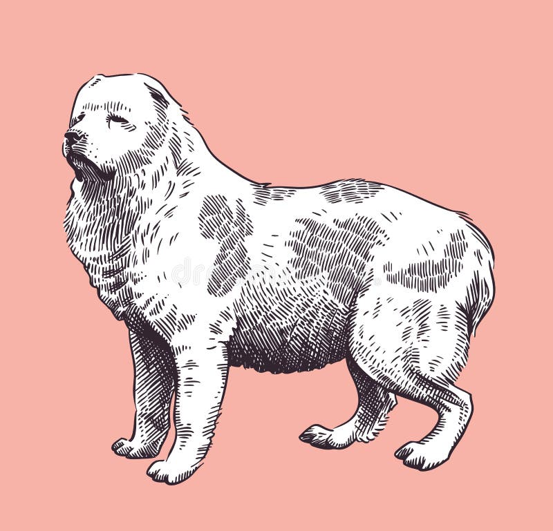 Filhote de cão pastor inglês velho ilustração digital estilizada