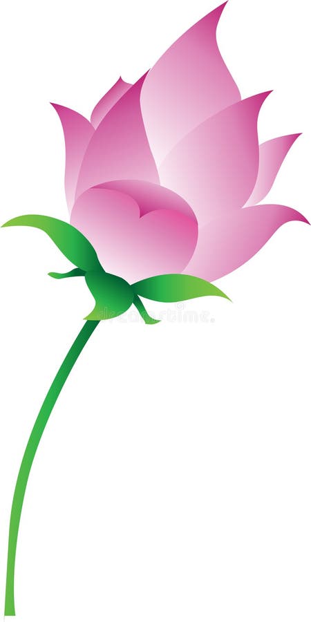 Vetor cor-de-rosa da flor de lótus ilustração stock Vetor cor-de-rosa da flor de lótus ilustração stock