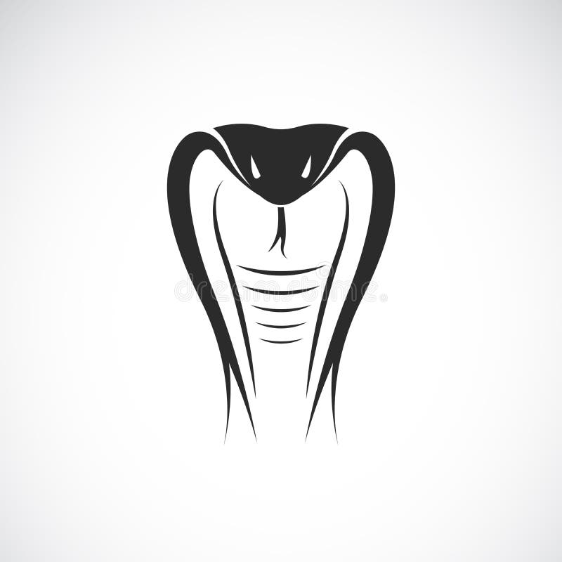 Desenho Uma Cobra Logotipo Forma Uma Cobra vetor(es) de stock de