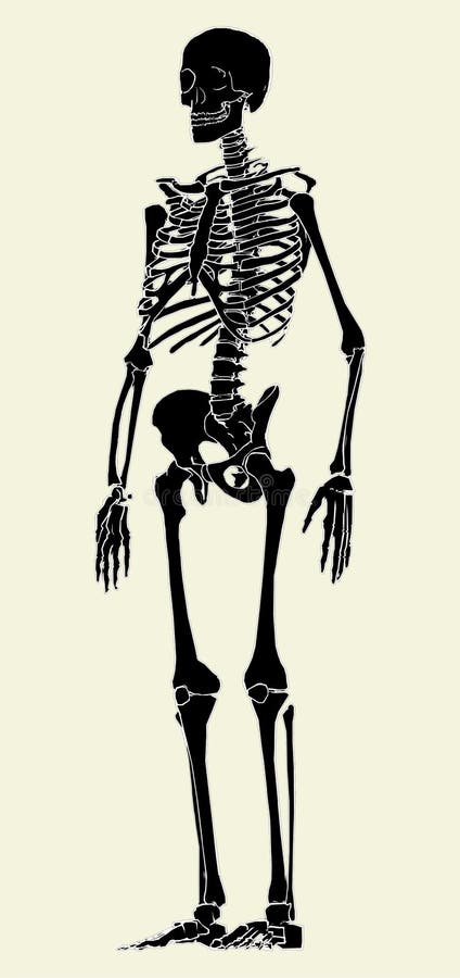 Baixe Arte de Halloween Assustadora e Única: Esqueletos se