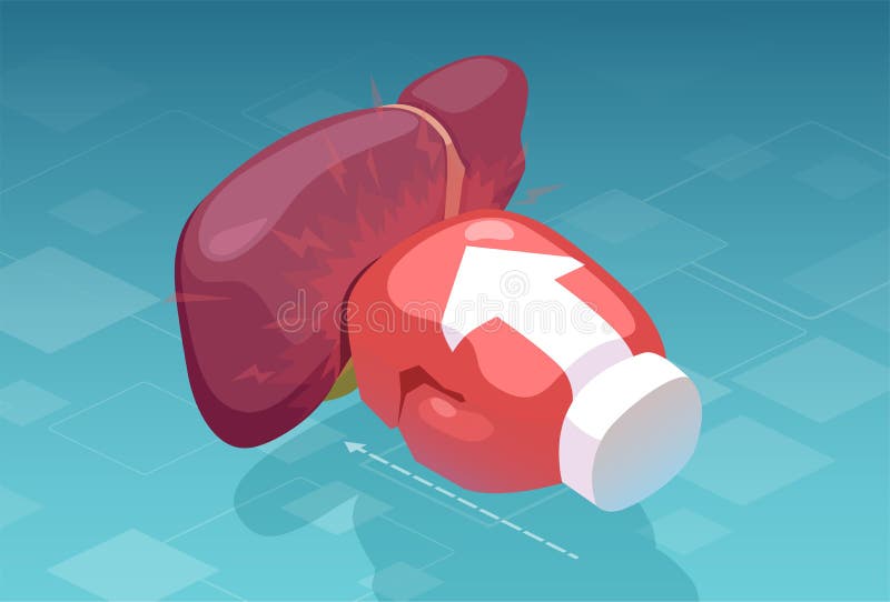 Vector of a boxing glove punching a human liver. Hepatic pain and disease concept. Vector of a boxing glove punching a human liver. Hepatic pain and disease concept