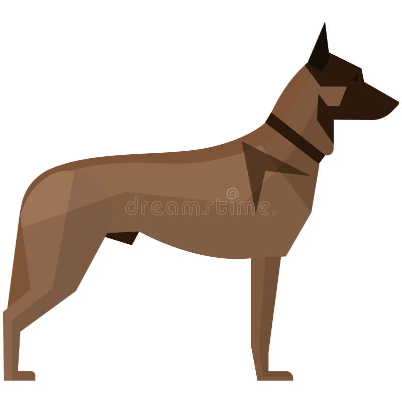 Belgian malinois breed dog vector. Domestic pet animal, police guard doggy icon isolated on white background. Belgian malinois breed dog vector. Domestic pet animal, police guard doggy icon isolated on white background