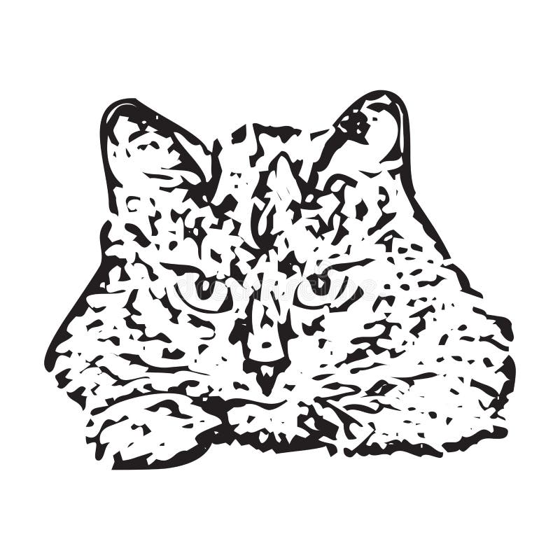 Vetor De Um Desenho De Rosto De Gato No Animal De Estimação Branco De  Fundo. Animais. Ilustração Fácil De Vetor Em Camadas Editáve Ilustração do  Vetor - Ilustração de doméstico, desenho: 180355418
