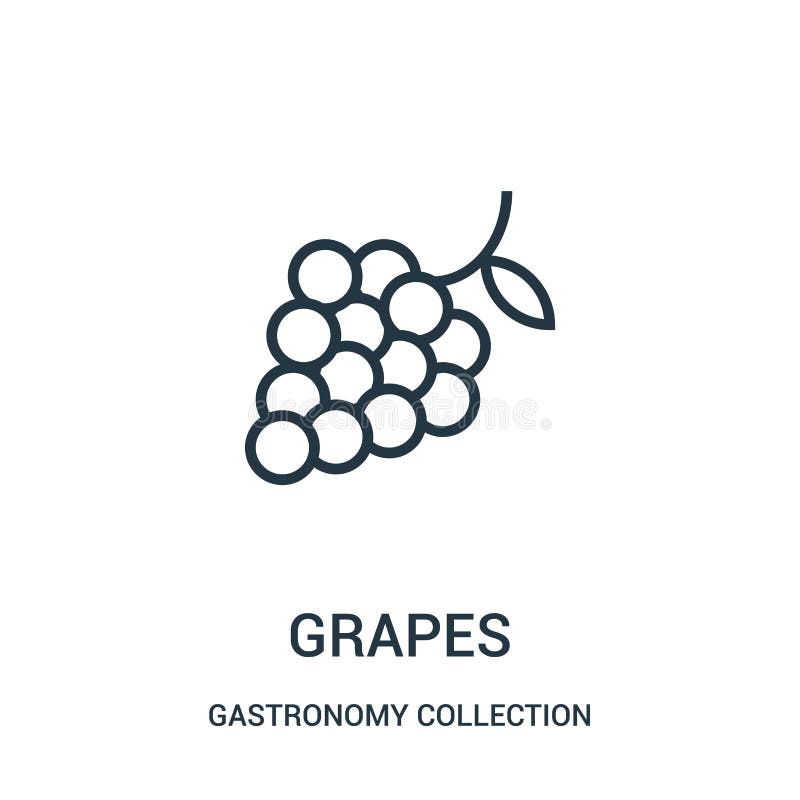 vetor do ícone das uvas da coleção da coleção da gastronomia Linha fina ilustração do vetor do ícone do esboço das uvas ilustração royalty free vetor do ícone das uvas da coleção da coleção da gastronomia Linha fina ilustração do vetor do ícone do esboço das uvas ilustração royalty free