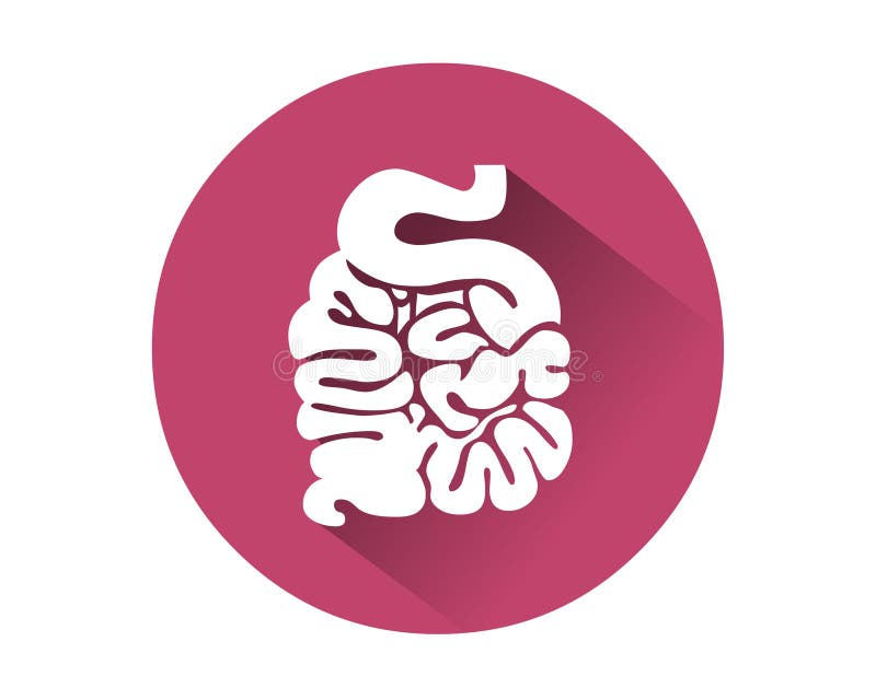 Vetor do ícone do intestino delgado Órgão interno humano ilustração stock Vetor do ícone do intestino delgado Órgão interno humano ilustração stock