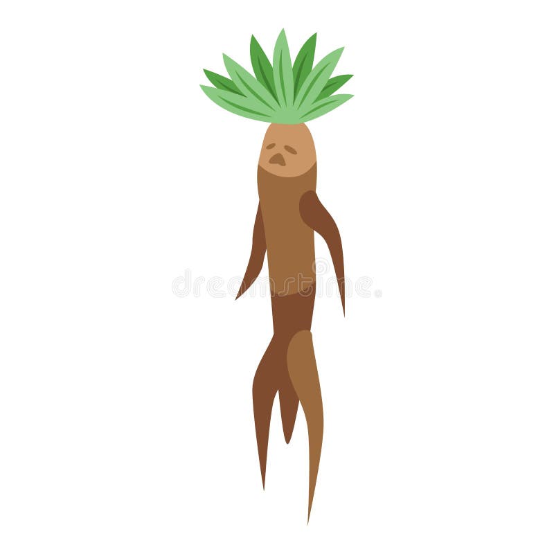 Mandrake personagem ícone desenho animado vetor raiz mágica folha de erva