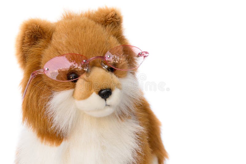 Vetri d'uso del cane della bambola su fondo bianco fotografie stock libere da diritti Vetri d'uso del cane della bambola su fondo bianco fotografie stock libere da diritti