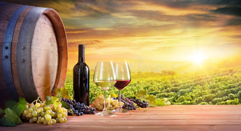 Vetri e bottiglia di vino con il barilotto in vigna
