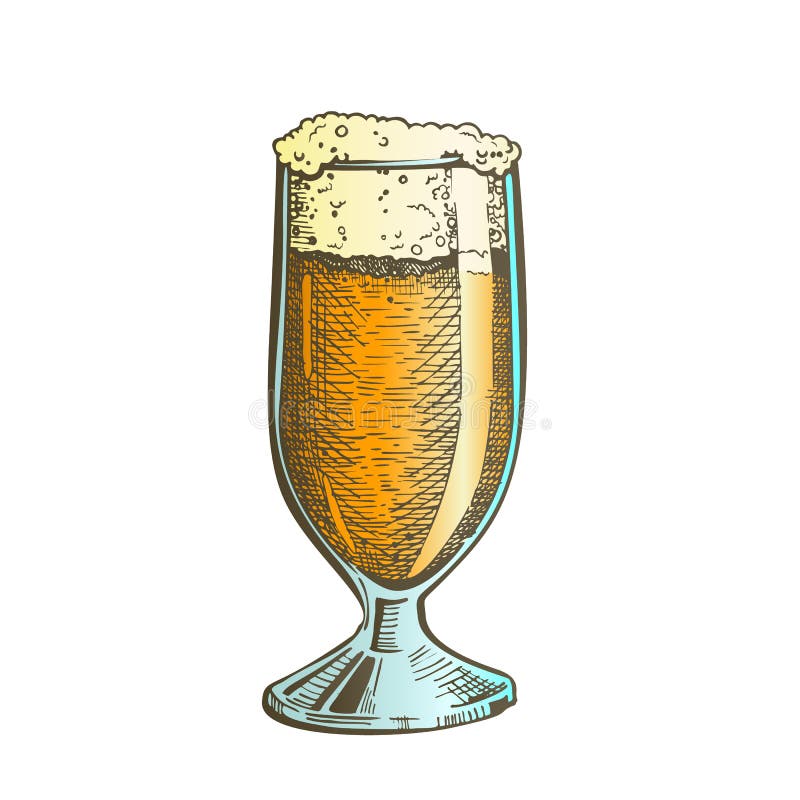 Vetro classico tirato di colore con il vettore della birra della schiuma illustrazione di stock Vetro classico tirato di colore con il vettore della birra della schiuma illustrazione di stock