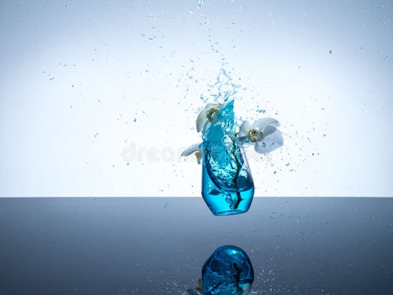 Vetro con la spruzzata delle orchidee fotografie stock Vetro con la spruzzata delle orchidee fotografie stock