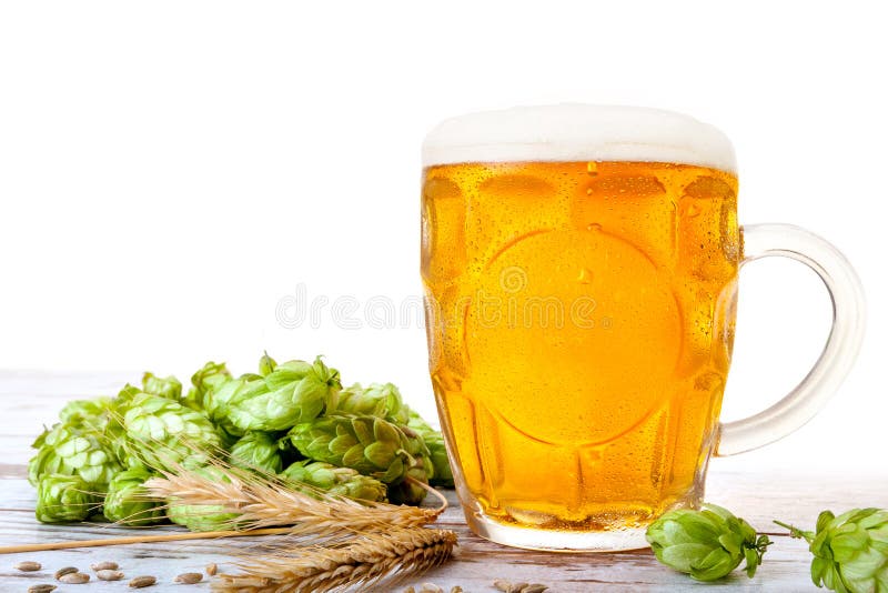 Vetro di birra con il luppolo e l'orzo immagine stock Vetro di birra con il luppolo e l'orzo immagine stock