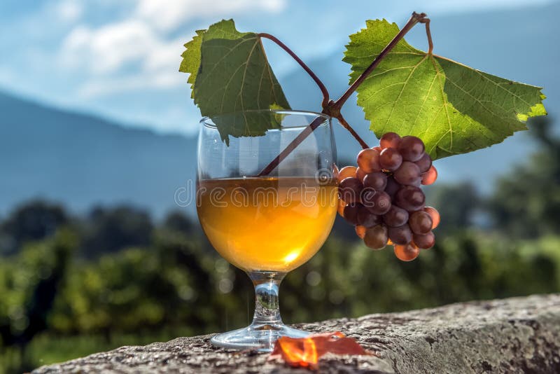 Vetro di succo con il mazzo di uva sulla pietra fotografia stock Vetro di succo con il mazzo di uva sulla pietra fotografia stock