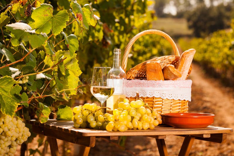 Vetro di uve secche di vino bianco e di cesto da picnic sulla tavola nel vigneto immagini stock libere da diritti Vetro di uve secche di vino bianco e di cesto da picnic sulla tavola nel vigneto immagini stock libere da diritti