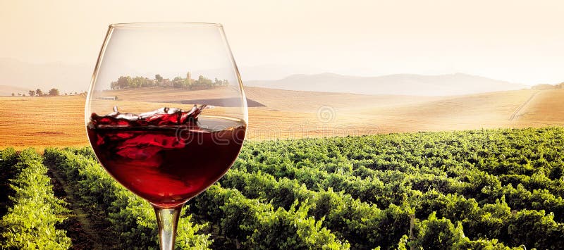 Vetro di vino rosso nel paesaggio soleggiato della vigna fotografia stock Vetro di vino rosso nel paesaggio soleggiato della vigna fotografia stock