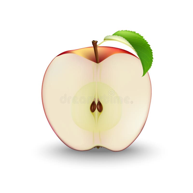 Vettore Apple rosso realistico tagliato a metà con i semi e la foglia Slic