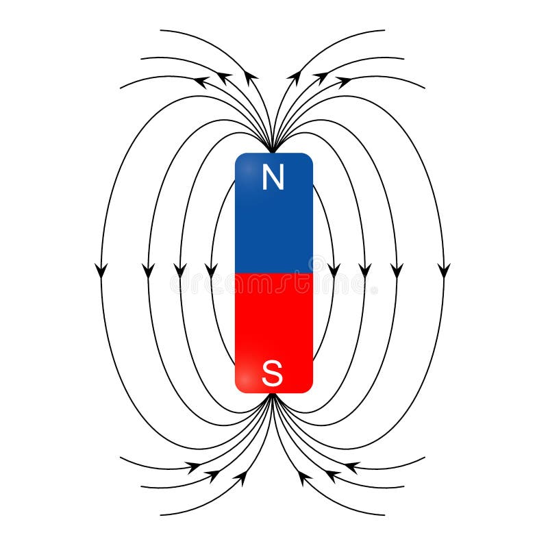 Vettore del campo magnetico
