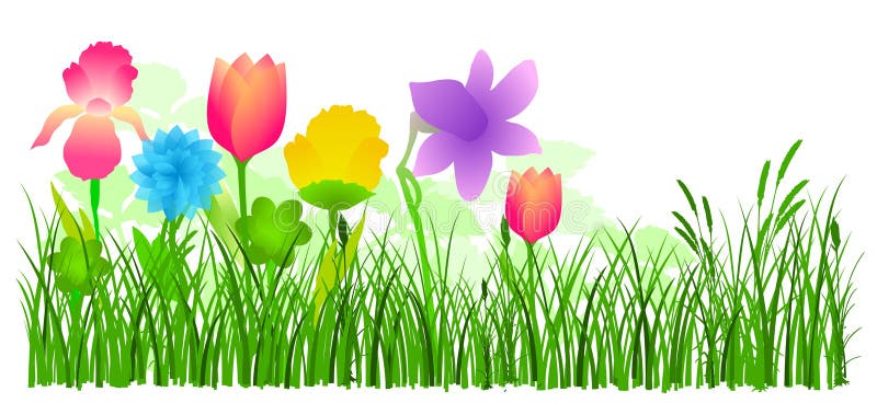 vettore dell'erba dei fiori illustrazione di stock vettore dell'erba dei fiori illustrazione di stock