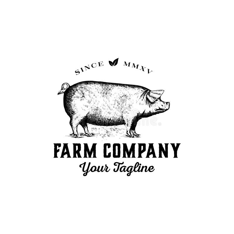 Vettore disegnato a mano di progettazione di logo dell'azienda agricola - ispirazione d'annata di progettazione di logo del maial