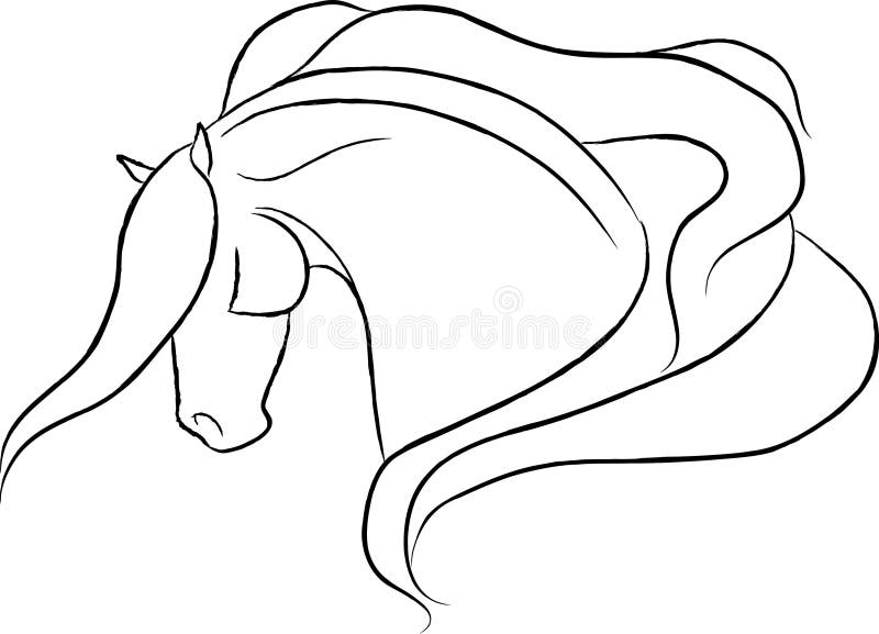 Vettore drammatico della testa di cavallo illustrazione di stock Vettore drammatico della testa di cavallo illustrazione di stock