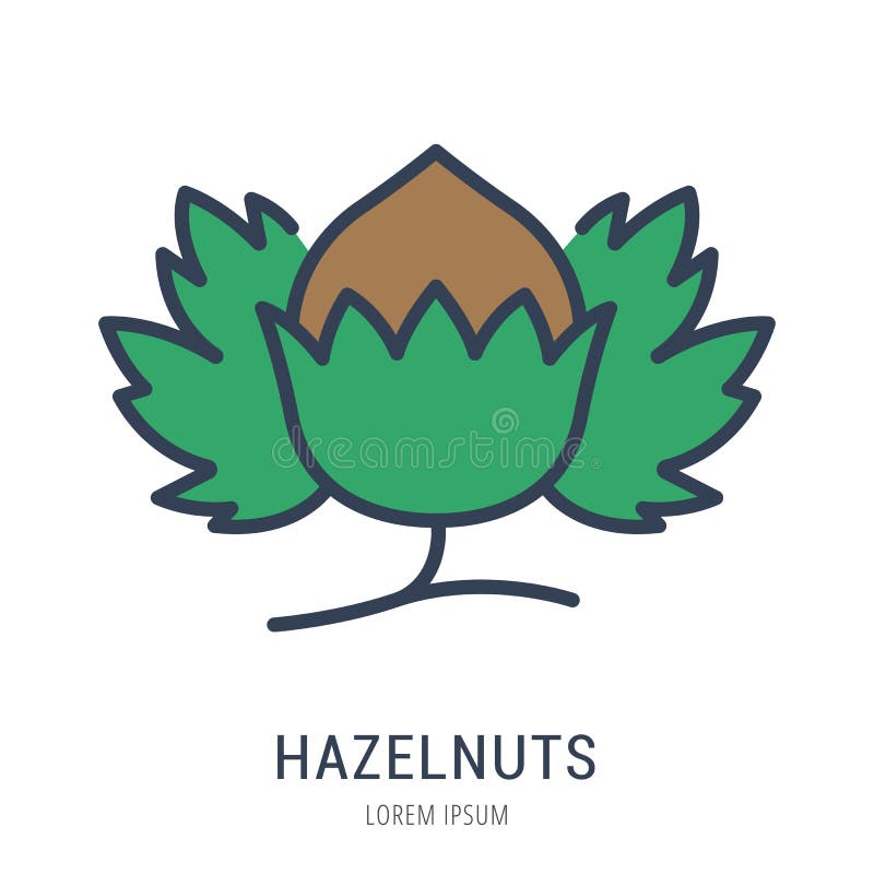 Vettore Logo Template Hazelnuts semplice royalty illustrazione gratis Vettore Logo Template Hazelnuts semplice royalty illustrazione gratis