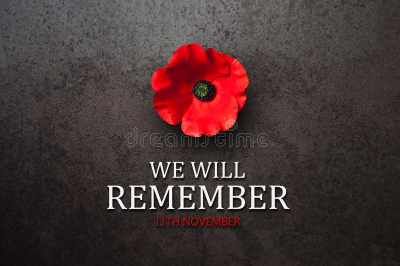 We Will Remember 11th November inscription with Poppy flower on rusty iron background. Decorative flower for Remembrance Day. Memorial Day. Veterans day. We Will Remember 11th November inscription with Poppy flower on rusty iron background. Decorative flower for Remembrance Day. Memorial Day. Veterans day.