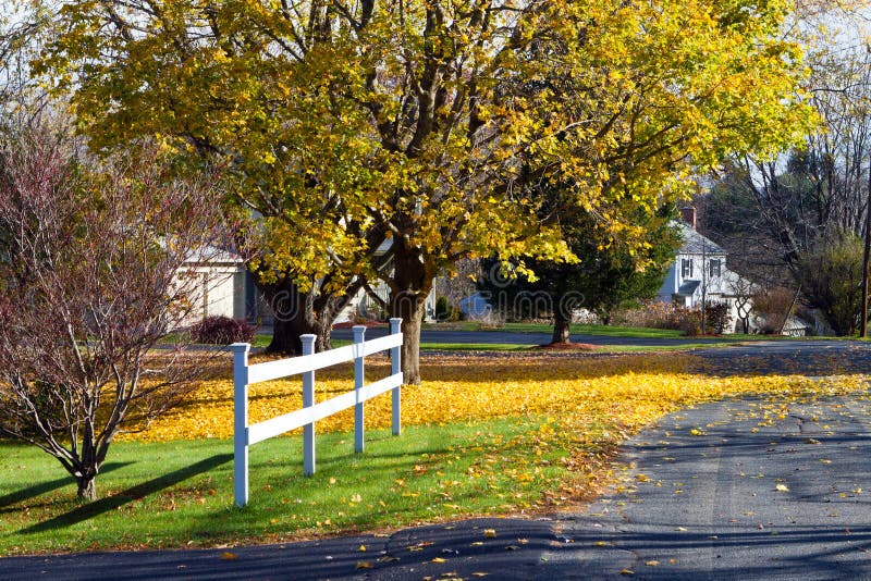 Via calma di autunno immagini stock libere da diritti