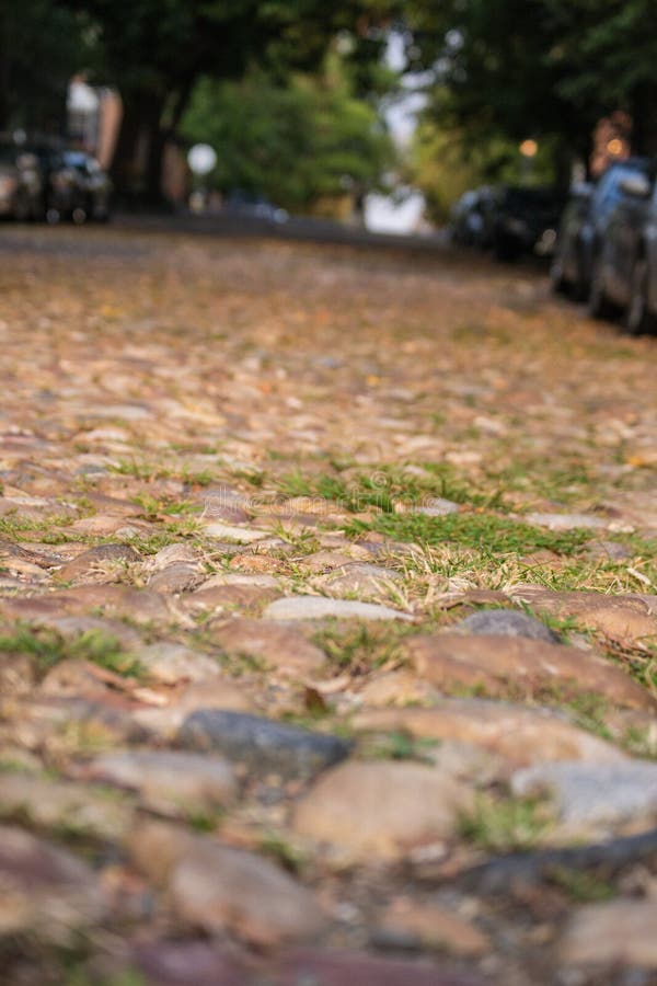Via del ciottolo con fondo-Alessandria d'Egitto vago VA fotografia stock libera da diritti Via del ciottolo con fondo-Alessandria d'Egitto vago VA fotografia stock libera da diritti