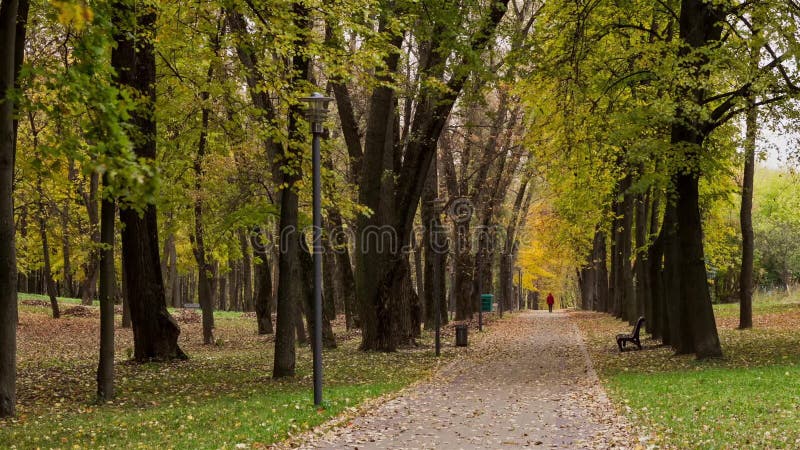 Via di autunno nel parco di vittoria Lasso di tempo sparato nel moto