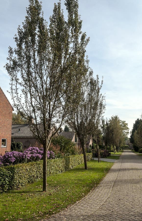 Via in Giethoorn fotografia stock libera da diritti Via in Giethoorn fotografia stock libera da diritti