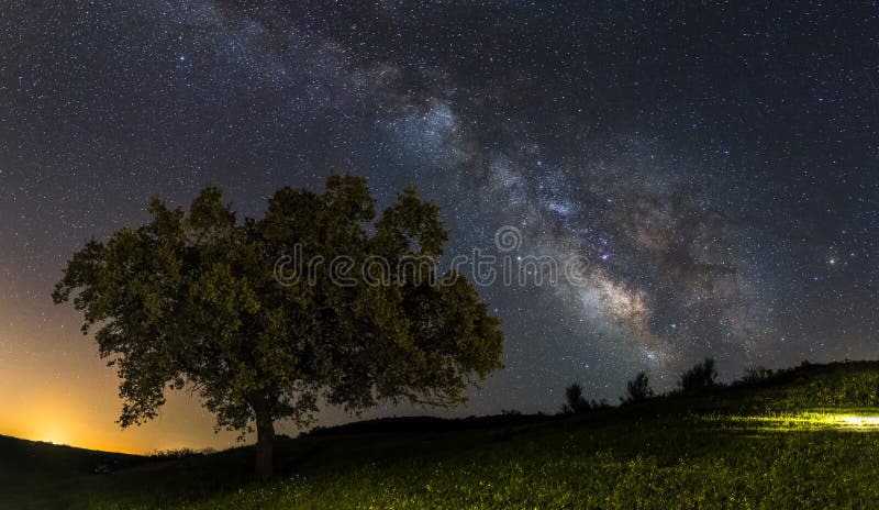 Via Lattea e l'albero immagine stock libera da diritti Via Lattea e l'albero immagine stock libera da diritti