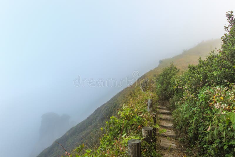 Via sul fianco della collina sulle montagne che hanno coperto da nebbia fotografie stock Via sul fianco della collina sulle montagne che hanno coperto da nebbia fotografie stock