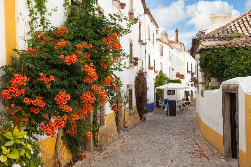 Via tipica di Obidos fotografie stock libere da diritti Via tipica di Obidos fotografie stock libere da diritti