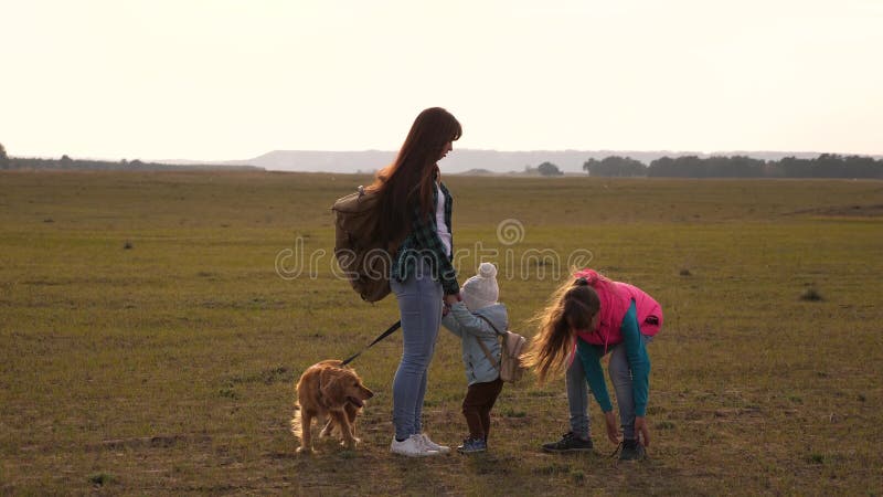 Viaggi della famiglia con il cane attraverso le pianure e le montagne madre, derivati e turisti domestici degli animali domestici stock footage