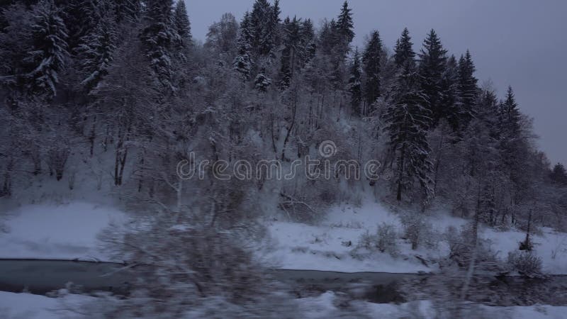 Viaggiando dal legno nevoso del treno con il fiume