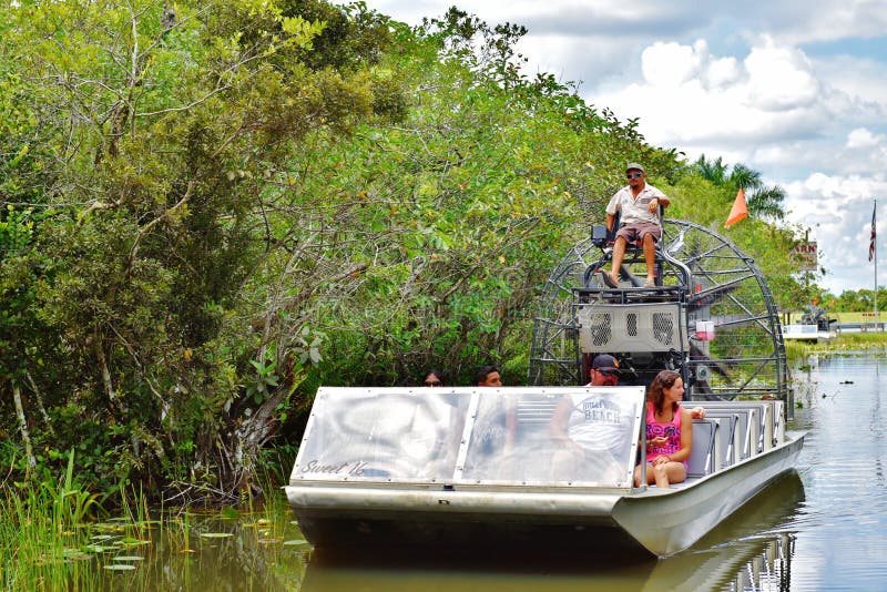 Viaggiatori della fauna selvatica di esplorazione del parco dell'alligatore di Florida S.U.A. fotografie stock Viaggiatori della fauna selvatica di esplorazione del parco dell'alligatore di Florida S.U.A. fotografie stock