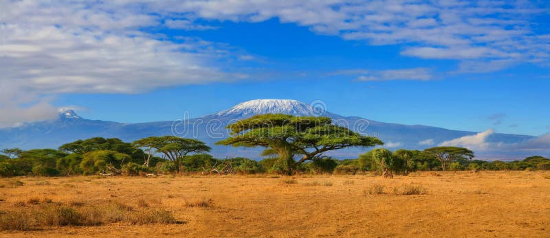 Viaggio Africa della Tanzania Kenya della montagna di Kilimanjaro immagini stock Viaggio Africa della Tanzania Kenya della montagna di Kilimanjaro immagini stock