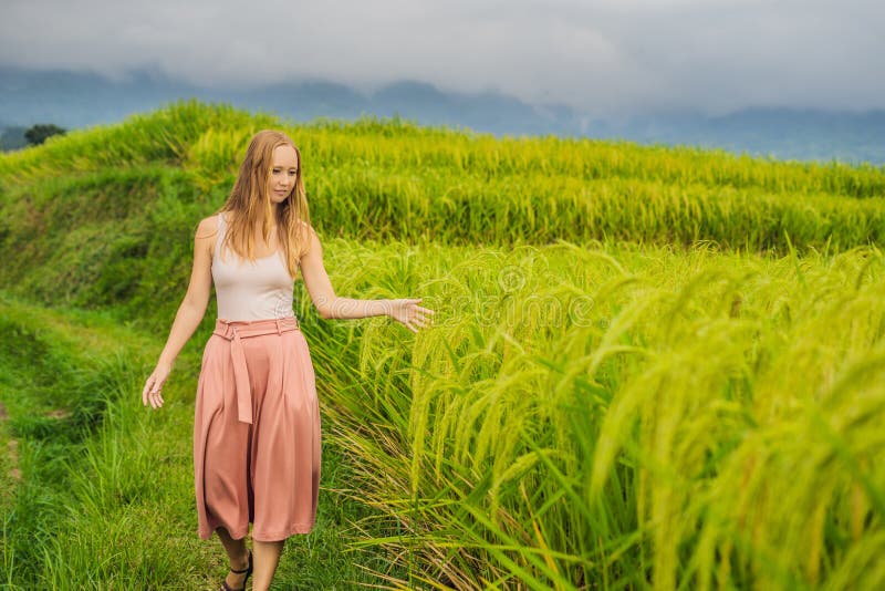 Viajante da jovem mulher em terraços bonitos do arroz de Jatiluwih na perspectiva dos vulcões famosos em Bali, Indonésia fotos de stock royalty free Viajante da jovem mulher em terraços bonitos do arroz de Jatiluwih na perspectiva dos vulcões famosos em Bali, Indonésia fotos de stock royalty free