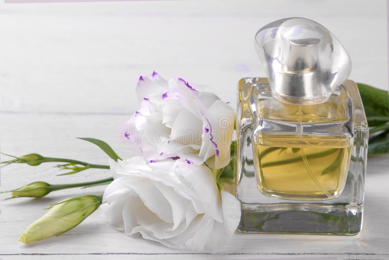 Vial of perfume and beautiful white flowers of eustoma on a white wooden background royalty free stock photos