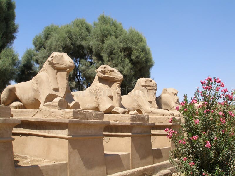 Viale delle sfingi dalla testa RAM nel tempio di Karnak fotografie stock Viale delle sfingi dalla testa RAM nel tempio di Karnak fotografie stock