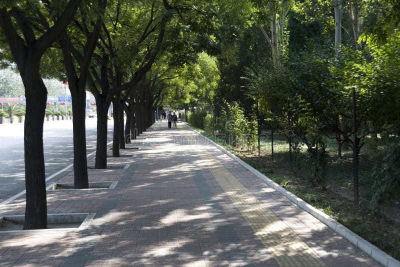 Viale di Pechino fotografia stock