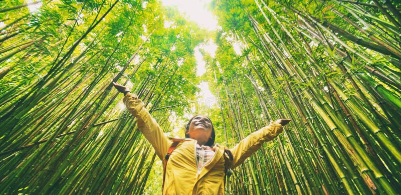 Viandante turistica di viaggio ecologico sostenibile che cammina nella foresta di bambù naturale soddisfatta delle armi su nel go