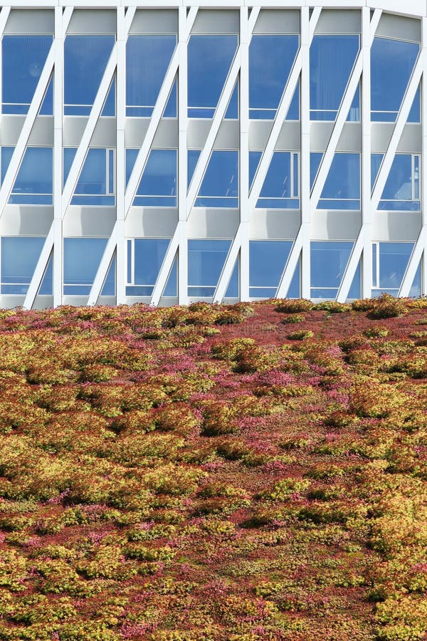 Details and Facade of the City Hall of in Denmark Editorial