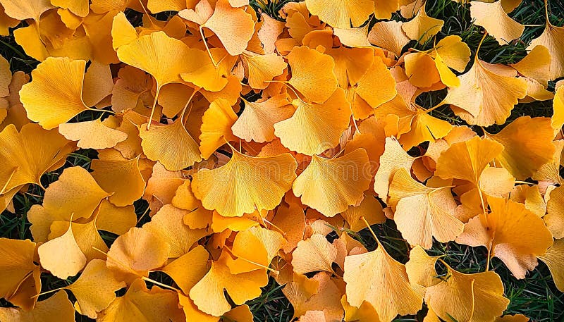 Vibrant colors of autumn tree branch in nature generated by AI. Vibrant colors of autumn tree branch in nature generated by artificial intelligence AI generated