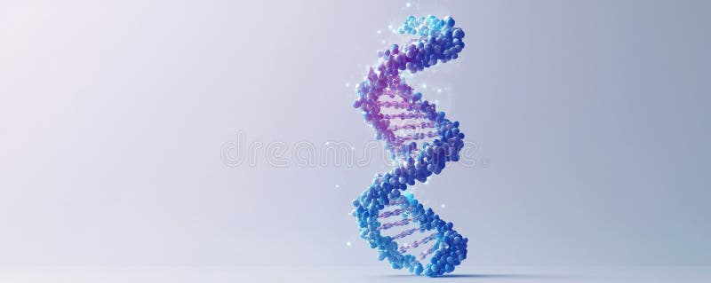 A vibrant depiction of a DNA double helix structure set against a minimalist gradient background. The image highlights the complexity and beauty of molecular biology, making it ideal for educational and scientific use. Bright blue and purple hues emphasize innovation and discovery in the field of genetics. Gene sequence stock images, royalty-free photos and pictures